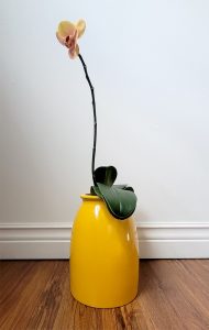 orchid in yellow vase
