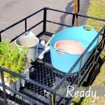 baby evergreen trees on a wagon cart