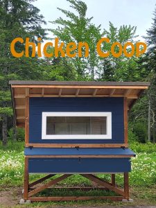 Read more about the article Thinking of Raising Chickens? Don’t Forget the Chicken Coop
