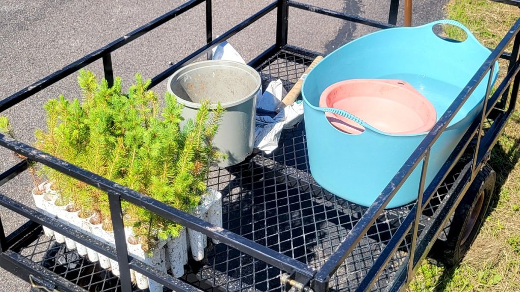 preparation for planting